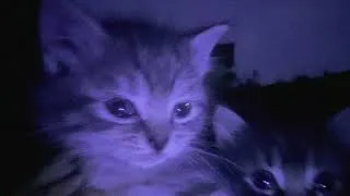 Thumbnail: sleep, you need it