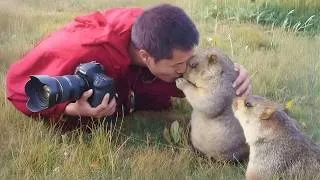 Thumbnail: Photographers Who Became Friends With Wildlife in the Sweetest Way! 😍🐾