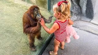 Thumbnail: When Your Baby and Cute Zoo Animals Instantly Become Best Friends ❤️