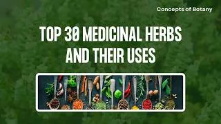 Thumbnail: Top 30 Medicinal Plants and their Uses| Ayurvedic Plants| Herbal Plants | Concepts of Botany