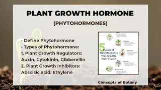 Thumbnail: Phytohormones| Plant Growth Hormones and their Functions| Hindi/Urdu| Auxin, Cytokinin, Gibberellins