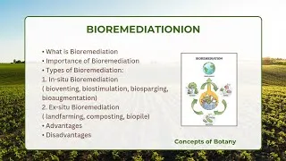 Thumbnail: Bioremediation| In-situ & Ex-situ Bioremediation| Importance| Hindi/ Urdu| Concepts of Botany