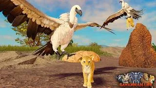 Thumbnail: Vulture Stealing Lion Cubs! | ROBLOX Savannah Life