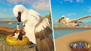 Thumbnail: NEW Vulture Animal Update! | ROBLOX Savannah Life