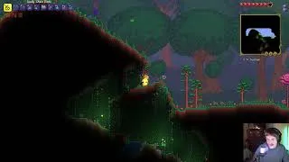 Thumbnail: Vampire VS Sunlight #terraria