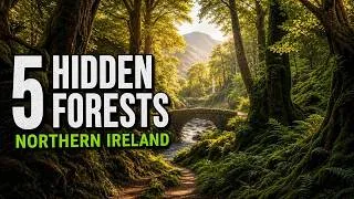 Thumbnail: 5 Hidden Forests in Northern Ireland You Need to Visit | Secret Nature Escapes