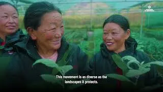 Thumbnail: Mountains to Mangroves | Thriving Communities