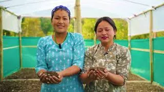 Thumbnail: Mountains to Mangroves | Climate Resilience