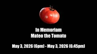 Thumbnail: In Loving Memory of Mateo