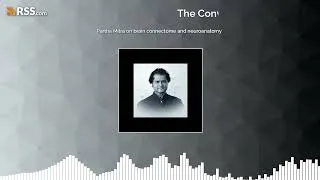 Thumbnail: Partha Mitra on brain connectome and neuroanatomy