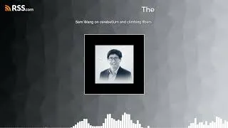 Thumbnail: Sam Wang on cerebellum and climbing fibers