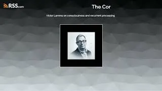 Thumbnail: Victor Lamme on consciousness and recurrent processing
