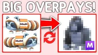 Thumbnail: Trading The NEW S'MORES RACCOON In Adopt Me! Roblox