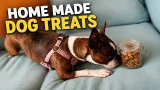 Thumbnail: Homemade Apple & Pumpkin Dog Treats | Easy Healthy Recipe for Dogs 🐶🍎🎃