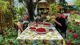 Thumbnail: Harvesting Fresh Raspberry – Traditional Raspberry Jam & Homemade Pie Recipe! 🍓🥧
