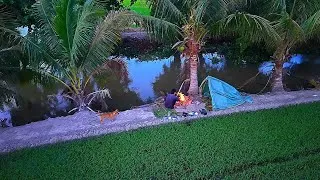 Thumbnail: Camping by the river and enjoying refreshing coconut water. 