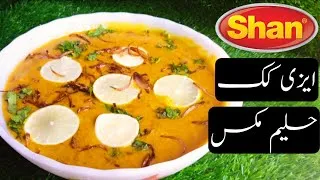 Thumbnail: Shan Easy Cook Haleem Mix Recipe || Beef Haleem Mix Recipe At Home By Cooking With Aiqa