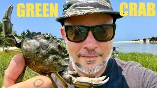Thumbnail: Gotta Eat Em' To Defeat Em' | Greencrab Congee