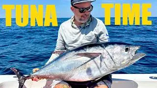 Thumbnail: Jigging Bluefin Tuna in New York | Grilled Bloodline