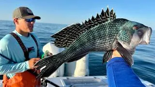 Thumbnail: $$Commercial$$ Fishing Massachusetts For My Restaurant in Brooklyn