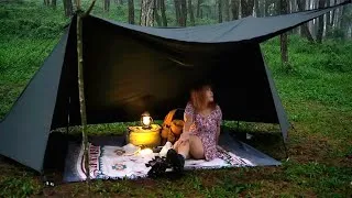 Thumbnail: Building a Warmth and Cozy shelter in the wild | Solo Bushcraft Camping in Heavy Rain