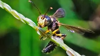 Thumbnail: August Photo Contest RESULTS! (And September Rules)