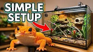 Thumbnail: Everything You Need To Know About Leopard Gecko Care & Setup