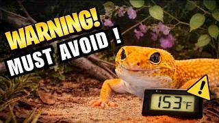 Thumbnail: 10 Leopard Gecko Mistakes