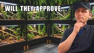 Thumbnail: Moving My Reptiles Into Their Dream Enclosures
