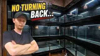 Thumbnail: Im In Too Deep...