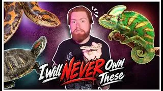 Thumbnail: Popular Reptiles I Will NEVER Own! (And Here's Why)