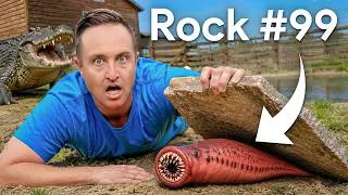 Thumbnail: I Flipped 100 Rocks in an Alligator House, Here’s What I Found…