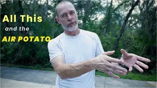Thumbnail: Avoid Burnout: Use Others as Motivation, Not Metrics - Air Potato Facts
