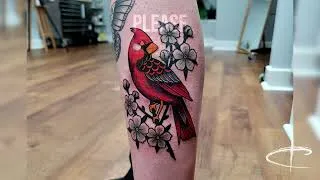 Thumbnail: NEO TRADITIONAL CARDINAL TATTOO- by Corey Lewis