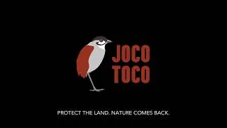 Thumbnail: Jocotoco