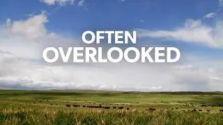 Thumbnail: Often Overlooked