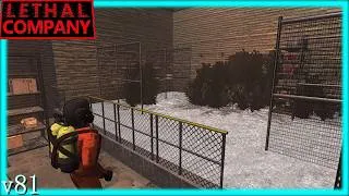 Thumbnail: ENDLESS CADAVERS (Lethal Company)