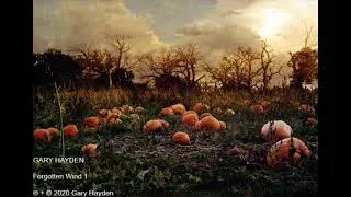 Thumbnail: Gary Hayden "Forgotten Wind"