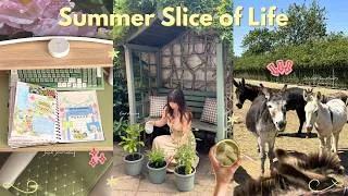 Thumbnail: Summer Slice of Life ☀️┃hobby time, garden refresh & visiting a donkey sanctuary