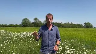 Thumbnail: Regenerative agriculture: creating healthier farming systems from the soil upwards