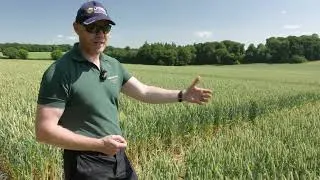 Thumbnail: Farming the Regenerative Way with Lockerley Estate & Matthews Cotswold Flour