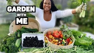 Thumbnail: Gardening Working Session: Harvesting, Fertilizing & More!
