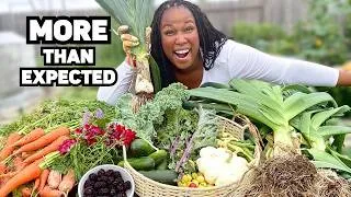 Thumbnail: Harvesting Everything Ready in My Garden 🌿