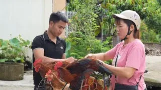 Thumbnail: Selling chickens to earn money to buy milk and food for the pet pig. ( Ep 443 )