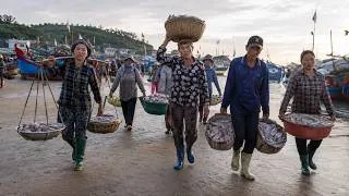 Thumbnail: Life by the Sea in Vietnam | Fishing Boats, Fresh Seafood & Local Markets