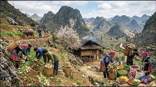 Thumbnail: Life in an Isolated Rocky Mountain Village | Harvesting Crops & Taking Produce to Market