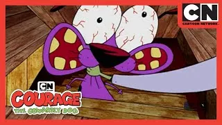 Thumbnail: Courage Saves Miriam | Courage The Cowardly Dog | Cartoon Network