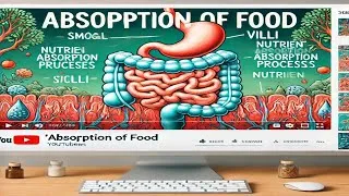 Thumbnail: Absorption of food