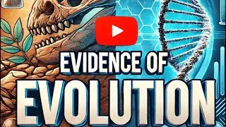 Thumbnail: Evidence of Evolution