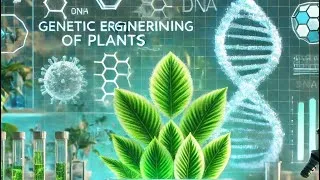 Thumbnail: Genetic Engineering Of Plants |Agricultural plants with improve traits|